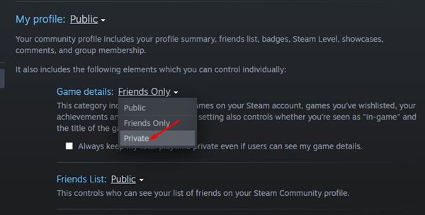 How to Hide Your Gaming Activity From Friends on Steam